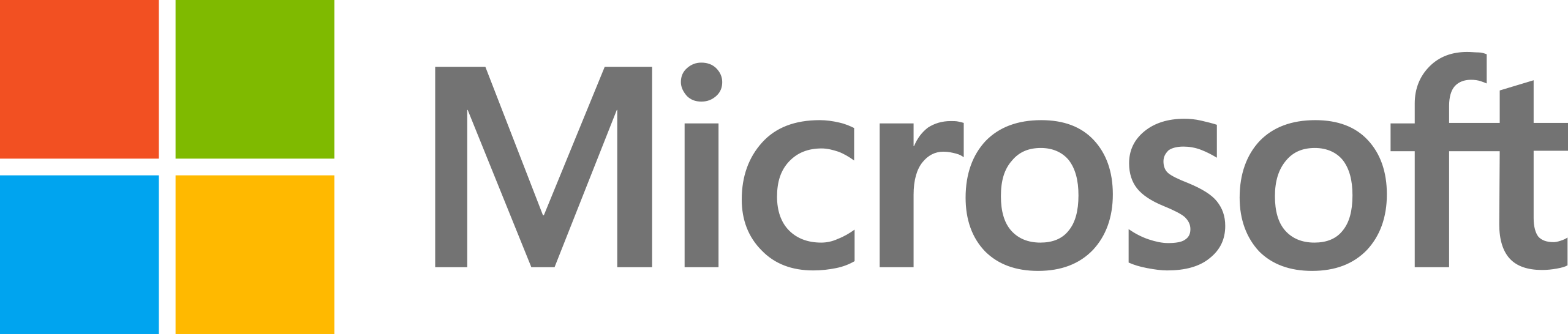 Microsoft partner logo